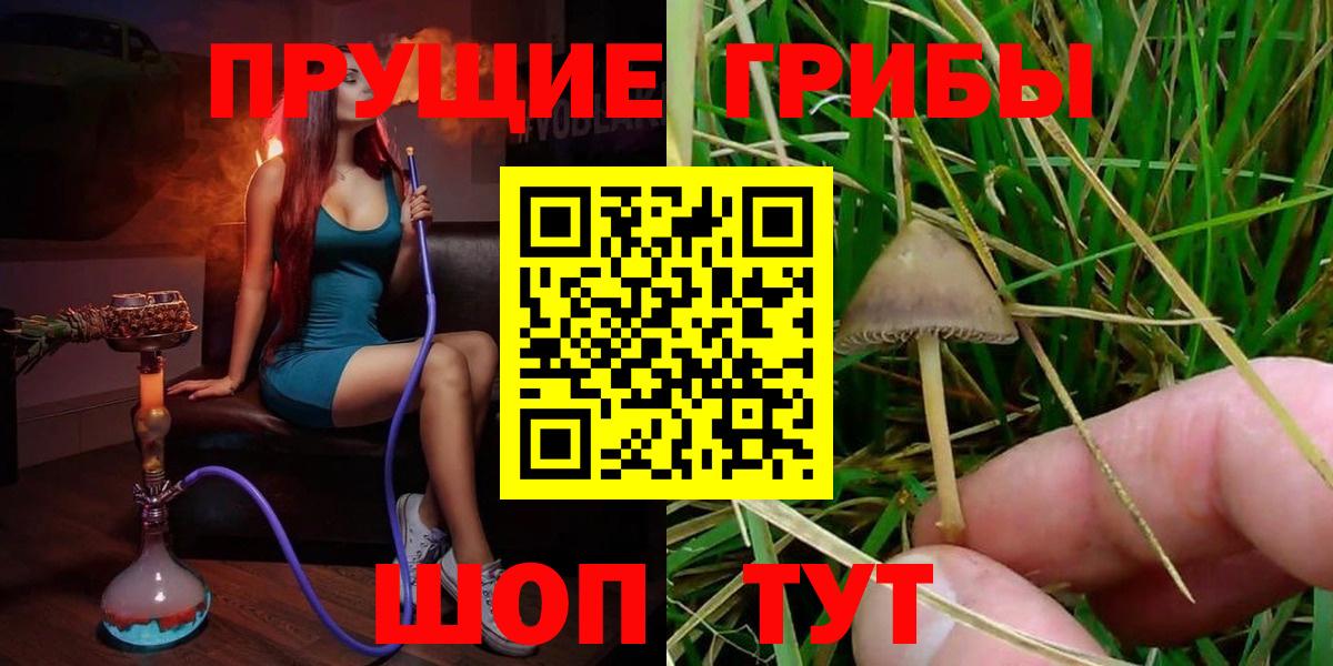 Псилоцибиновые грибы Cubensis Будённовск